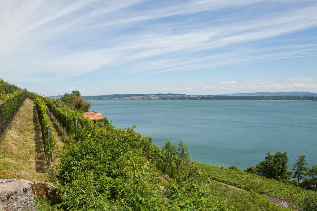 Alpes Et Lac La Neuveville Bagian luar foto